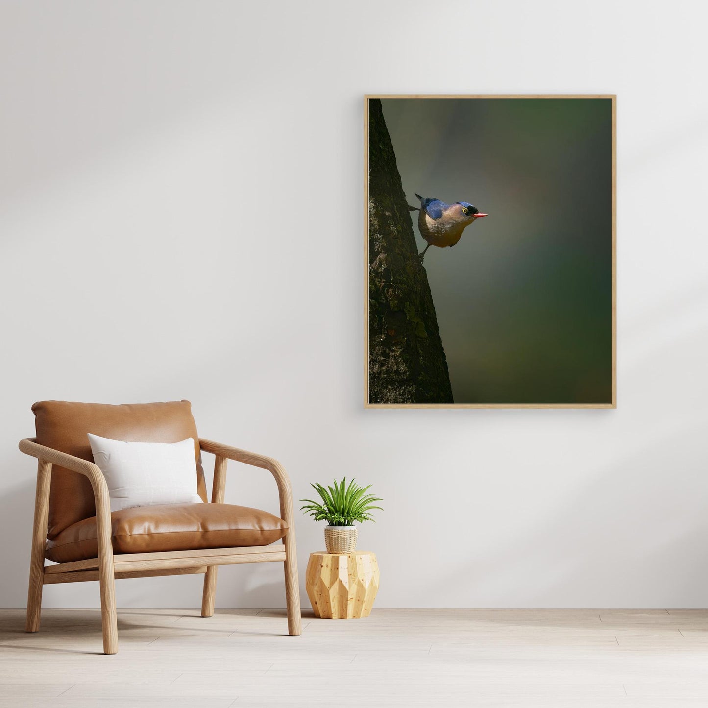 Peek a boo by Puneet Sikand