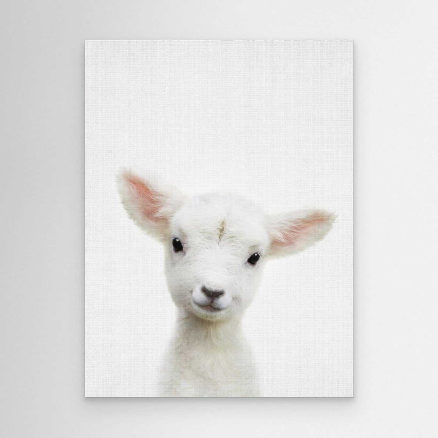 Peekaboo Baby Sheep by Lola Peacock