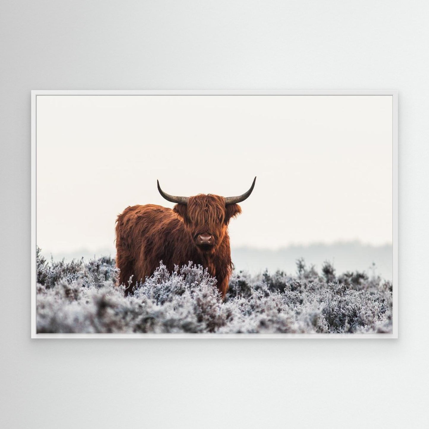 Highlander by Jaap Van Den Helm