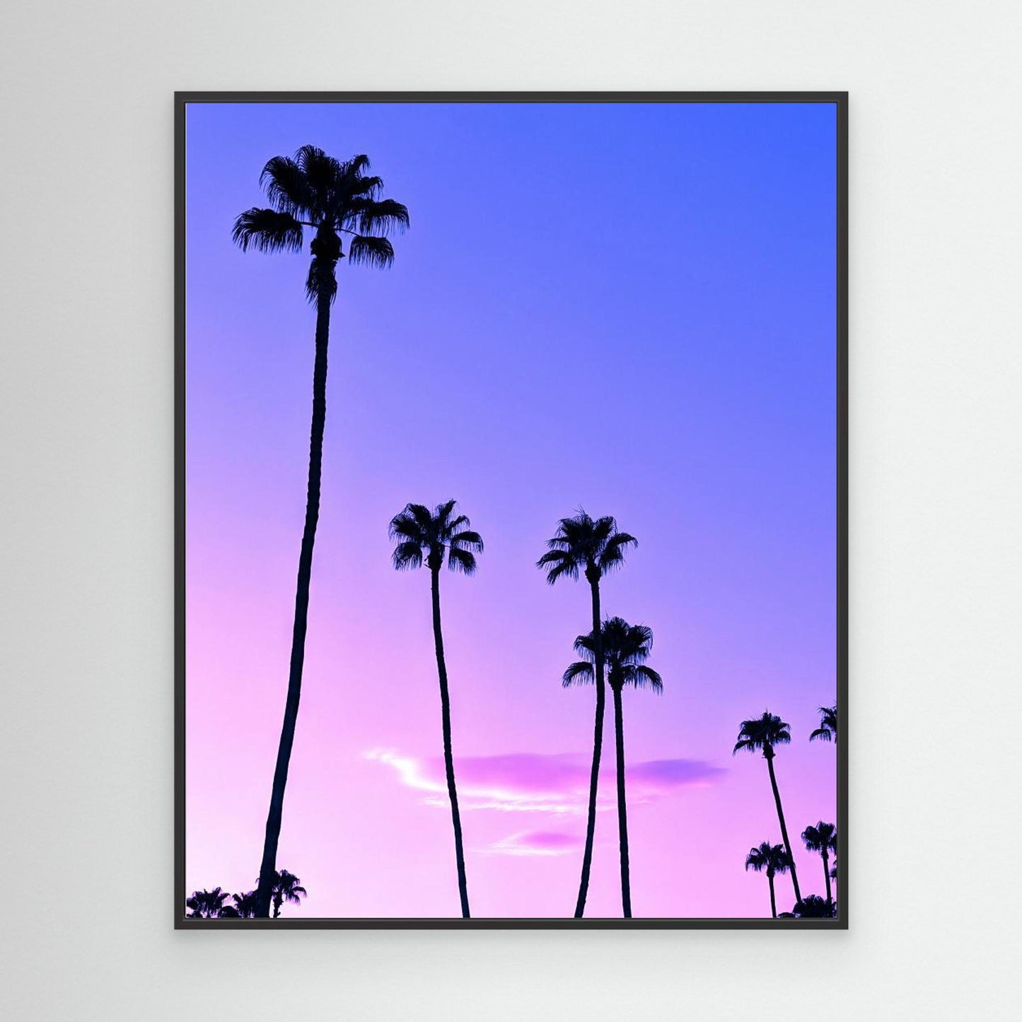 Palm Tree Sunset by Tom Windeknecht