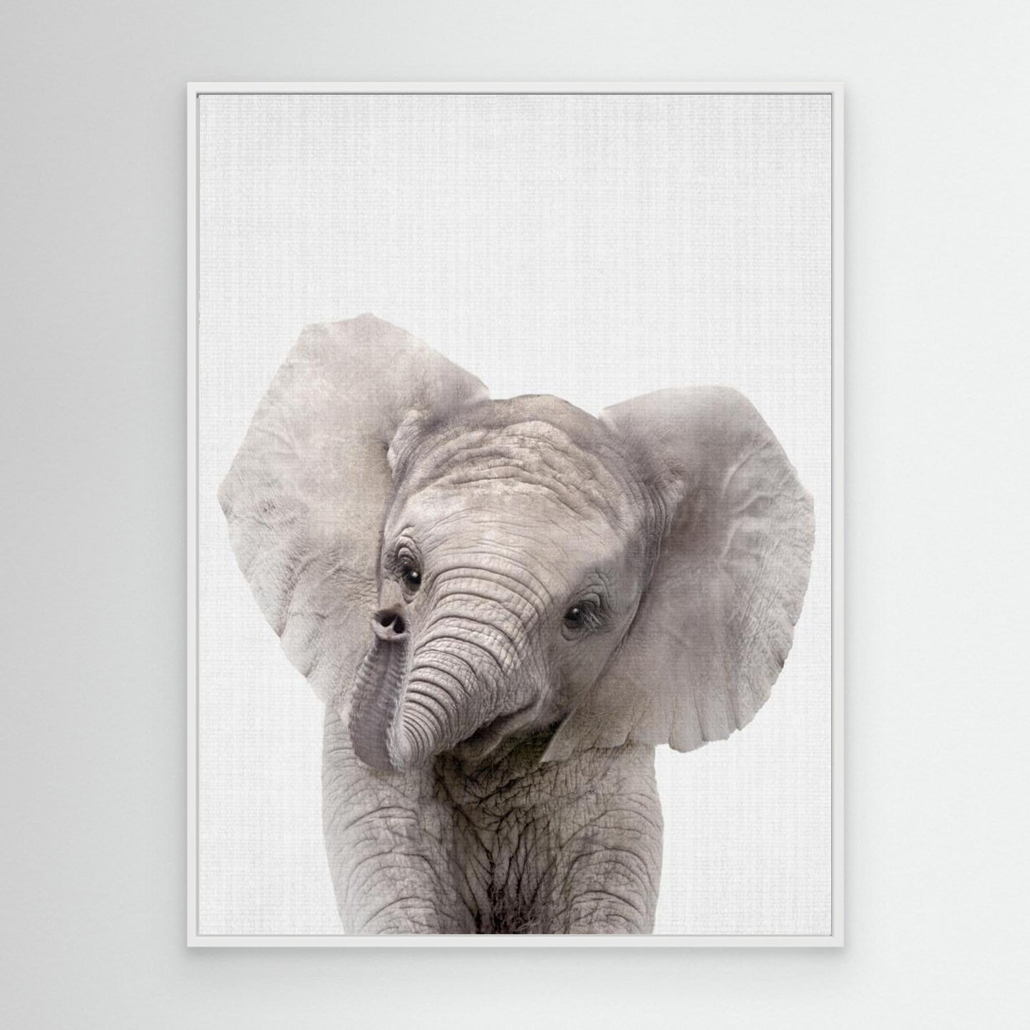 Peekaboo Baby Elephant by Lola Peacock