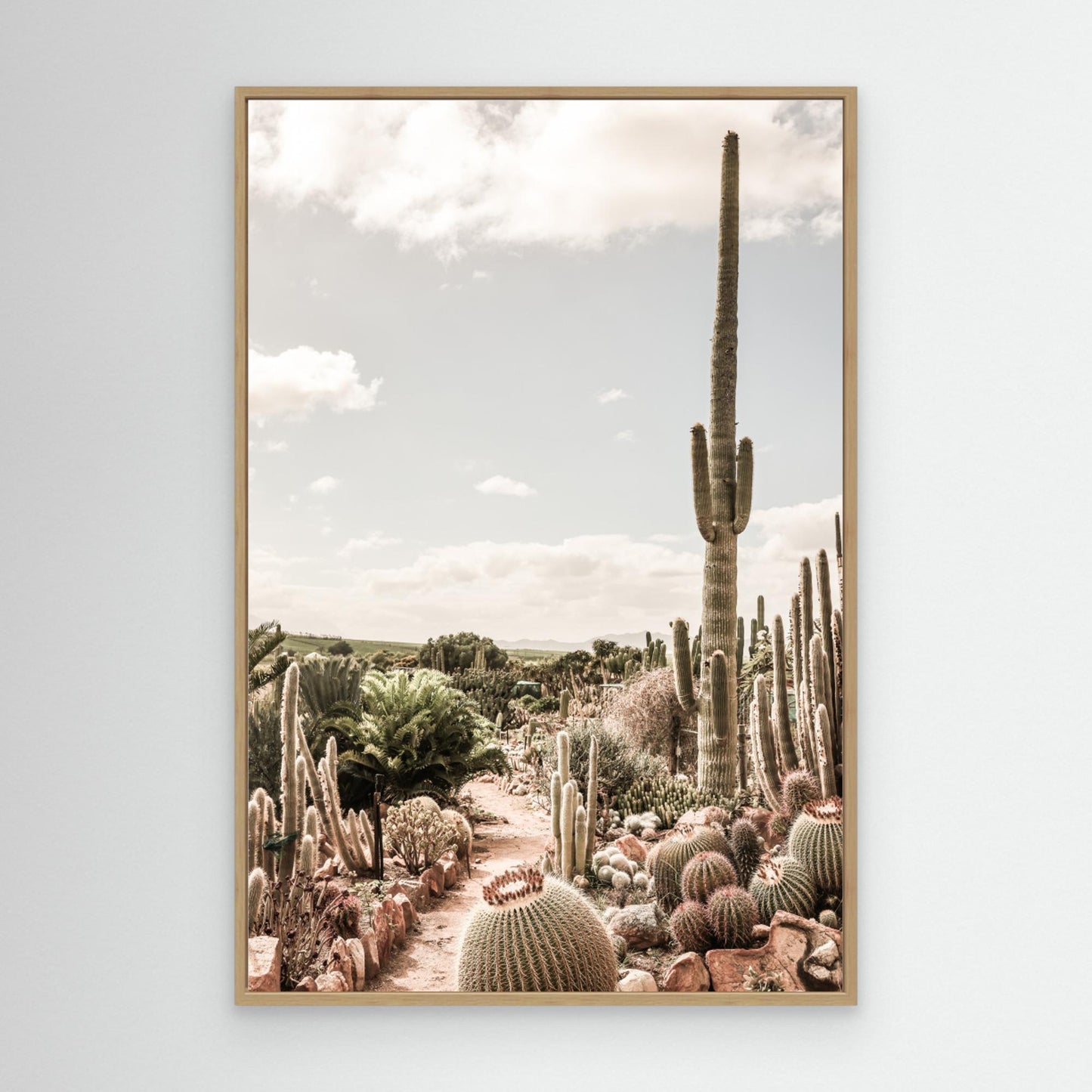 Cactus Farm by Shot By Clint