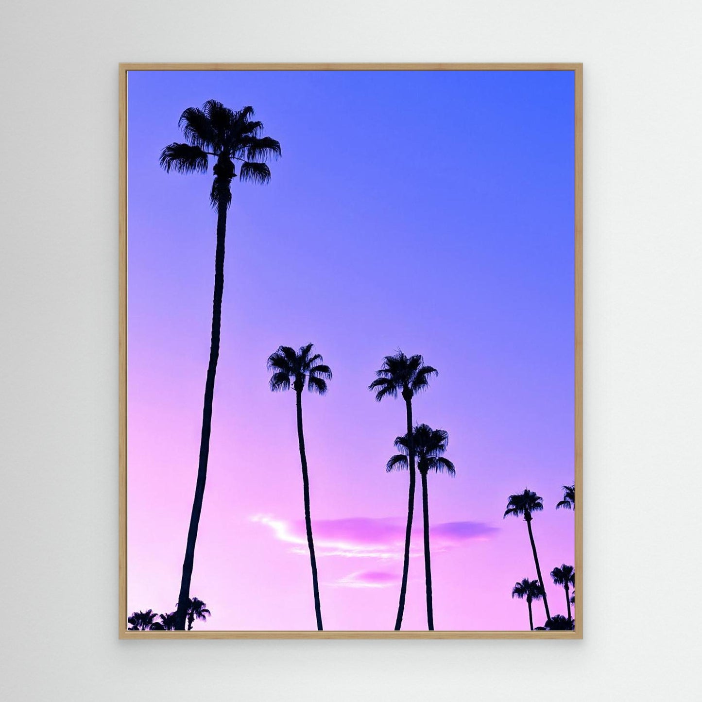 Palm Tree Sunset by Tom Windeknecht
