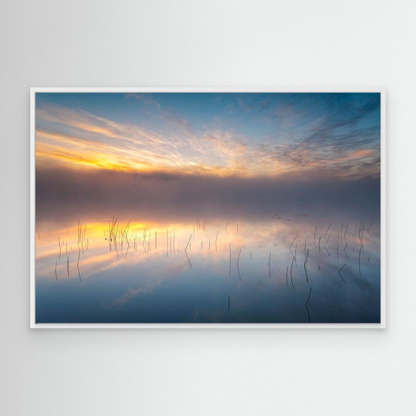 Reeds by Keller