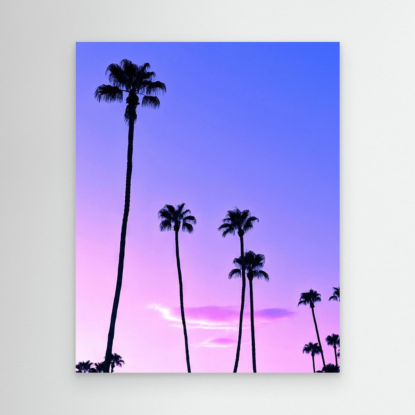 Palm Tree Sunset by Tom Windeknecht