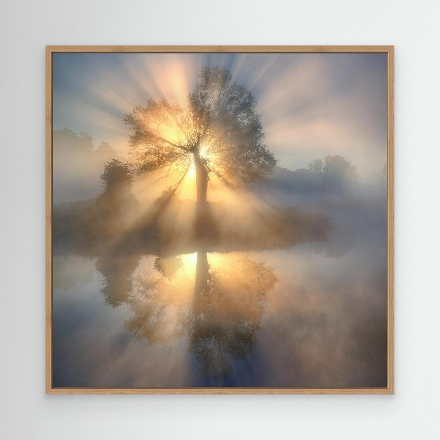 Tree of light by Keller