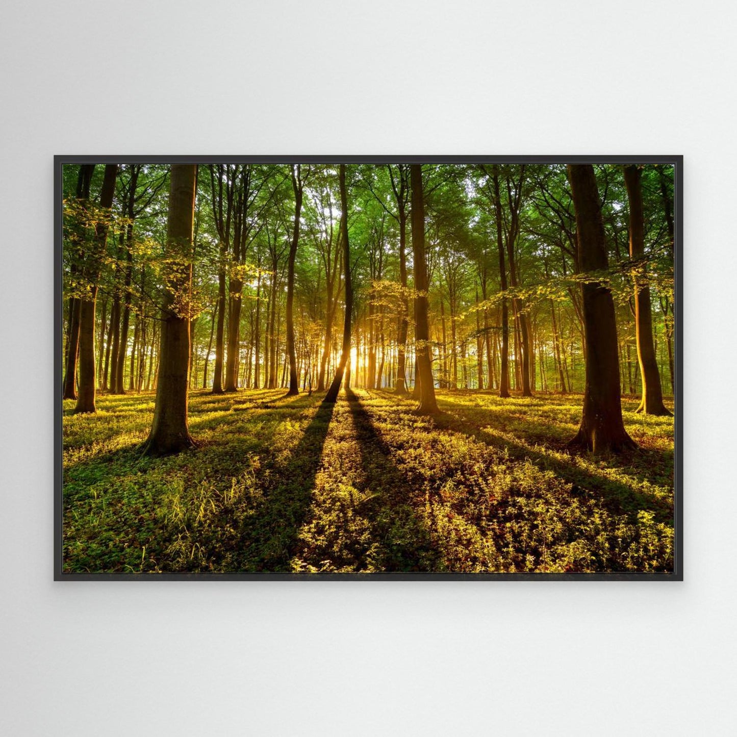 Forrest light by Keller