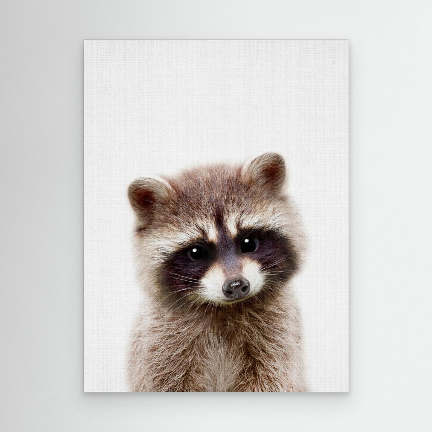 Peekaboo Raccoon by Lola Peacock