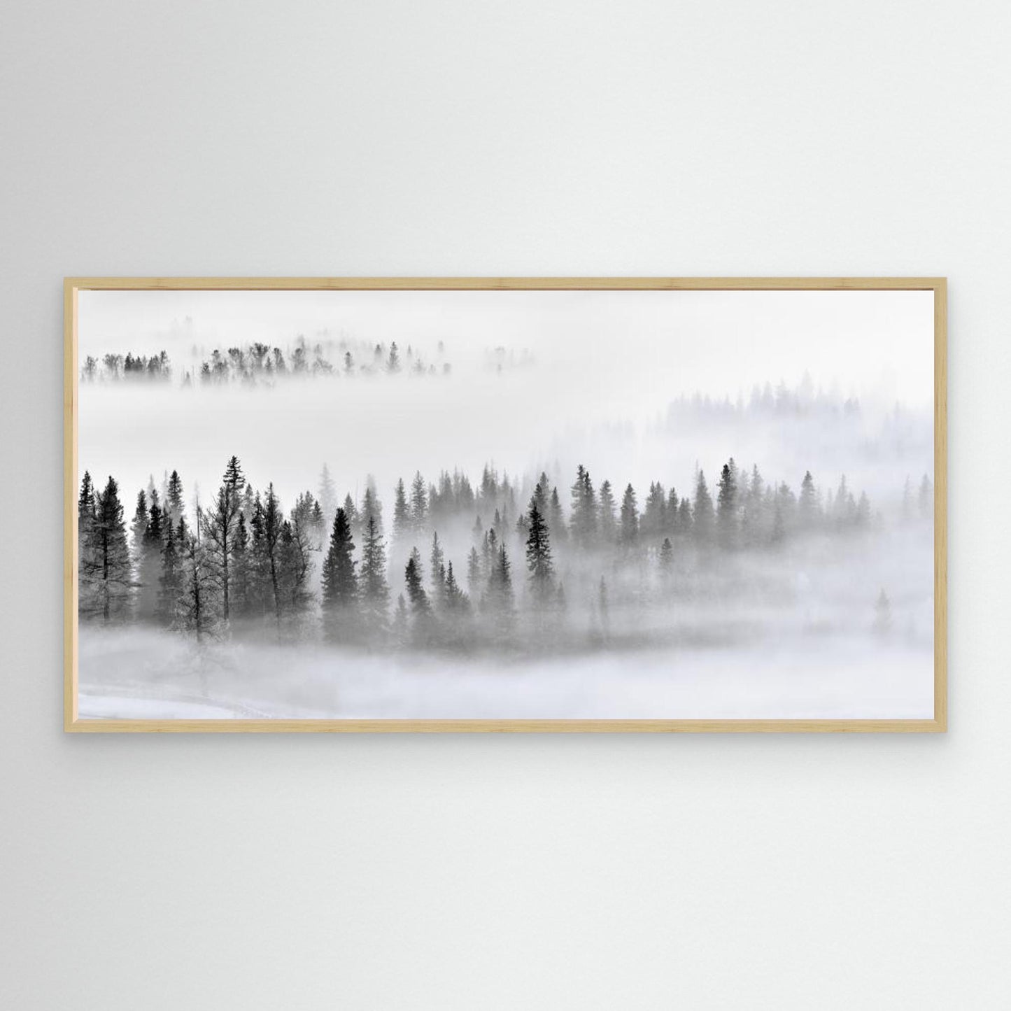 Foggy Forest by Mei Xu