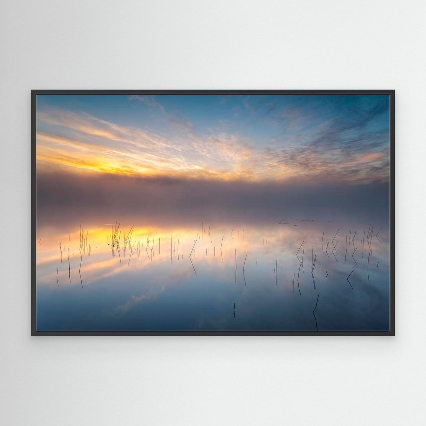 Reeds by Keller