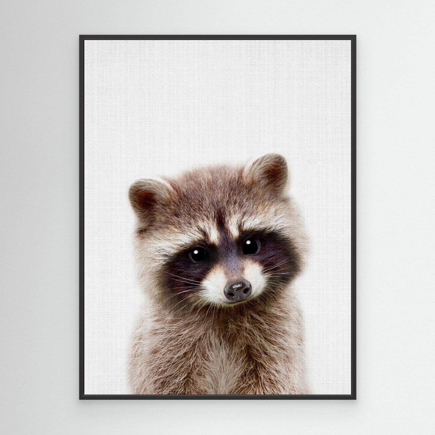 Peekaboo Raccoon by Lola Peacock