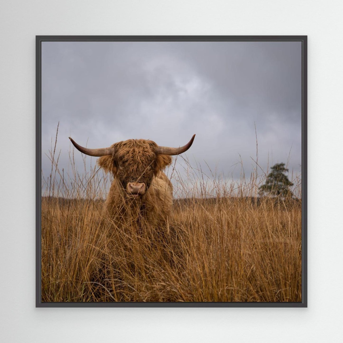 It wasn't me by Gert Van Den Bosch