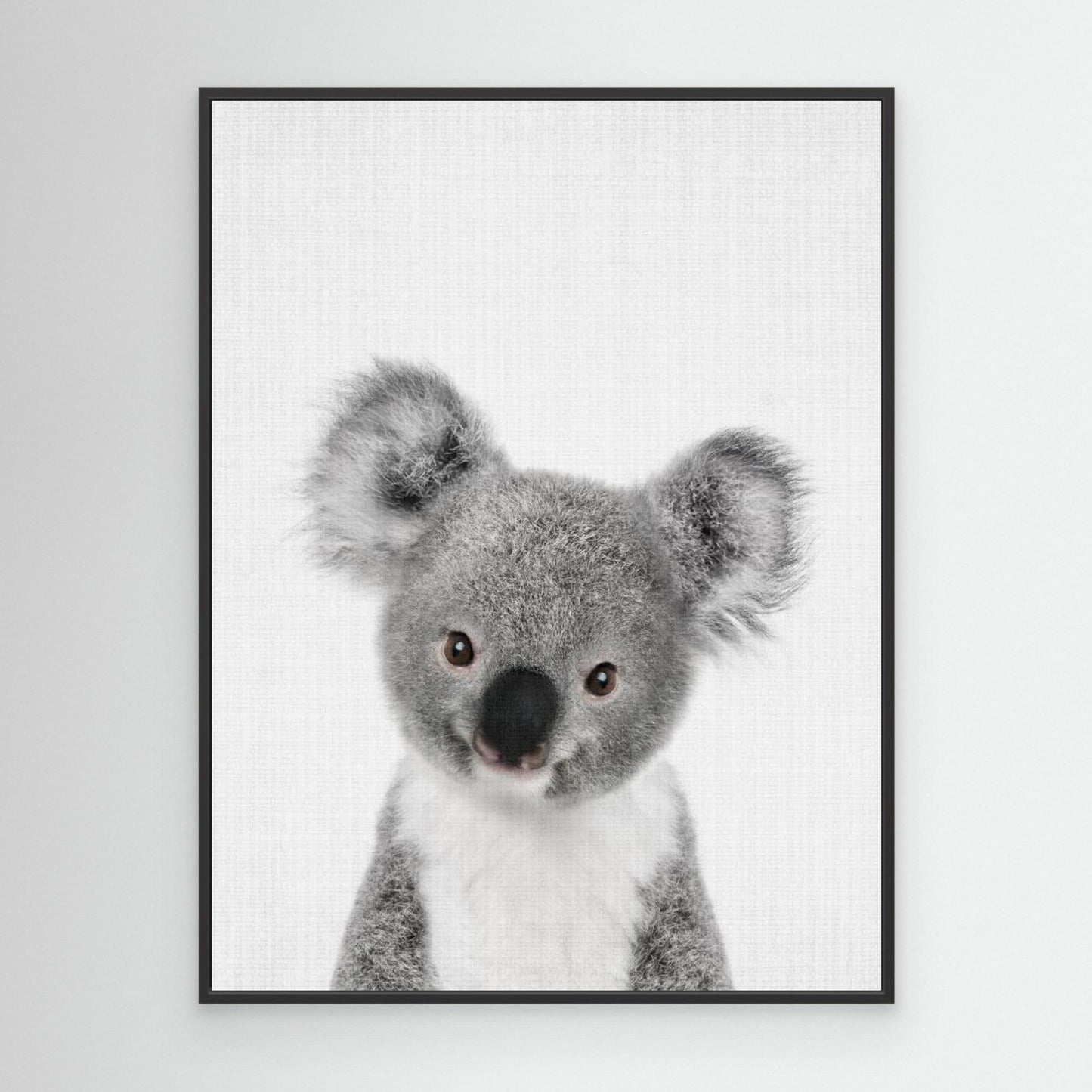 Peekaboo Baby Koala by Lola Peacock