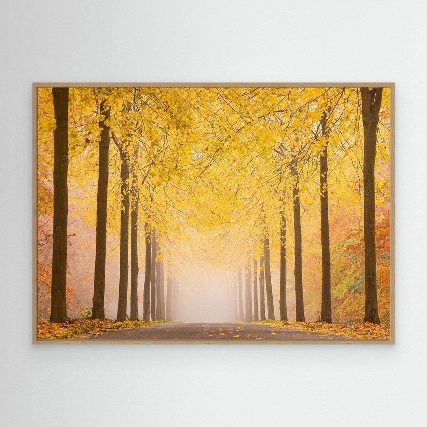 Autumn road by Keller