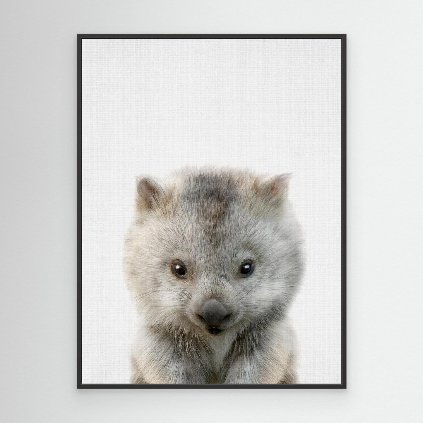Peekaboo Baby Wombat by Lola Peacock