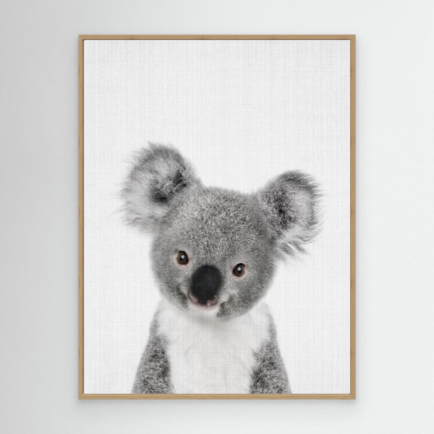 Peekaboo Baby Koala by Lola Peacock