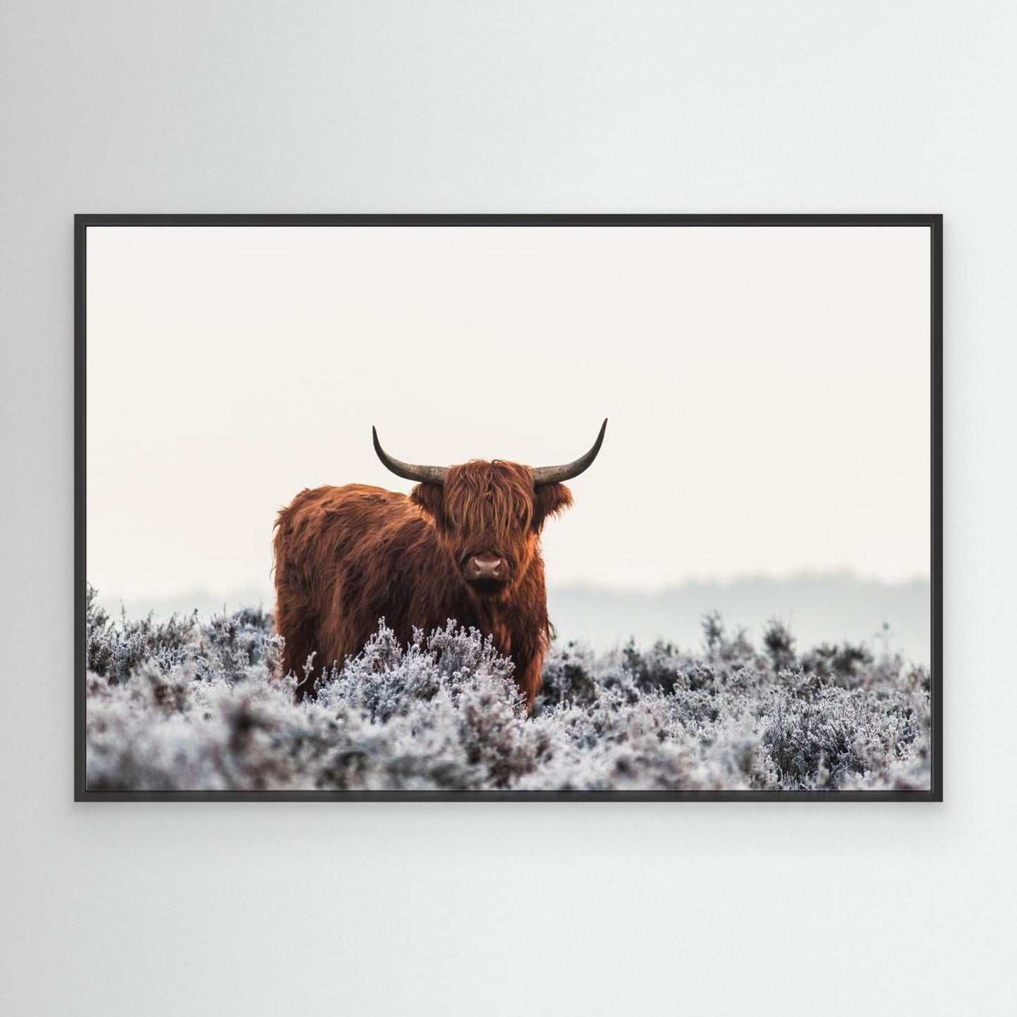 Highlander by Jaap Van Den Helm