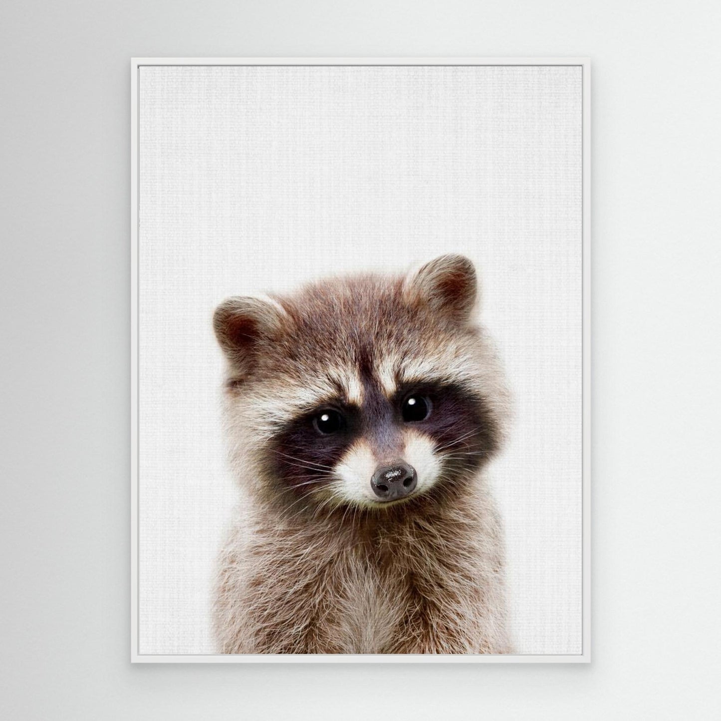Peekaboo Raccoon by Lola Peacock
