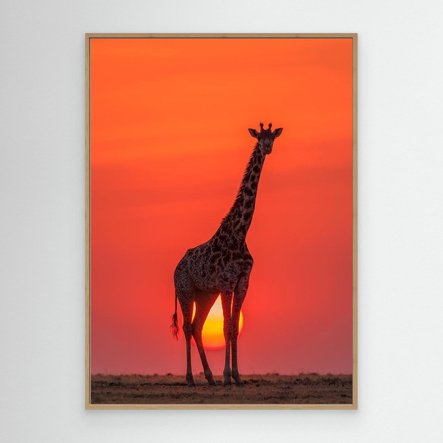 Sunset Giraffe by Henry Zhao