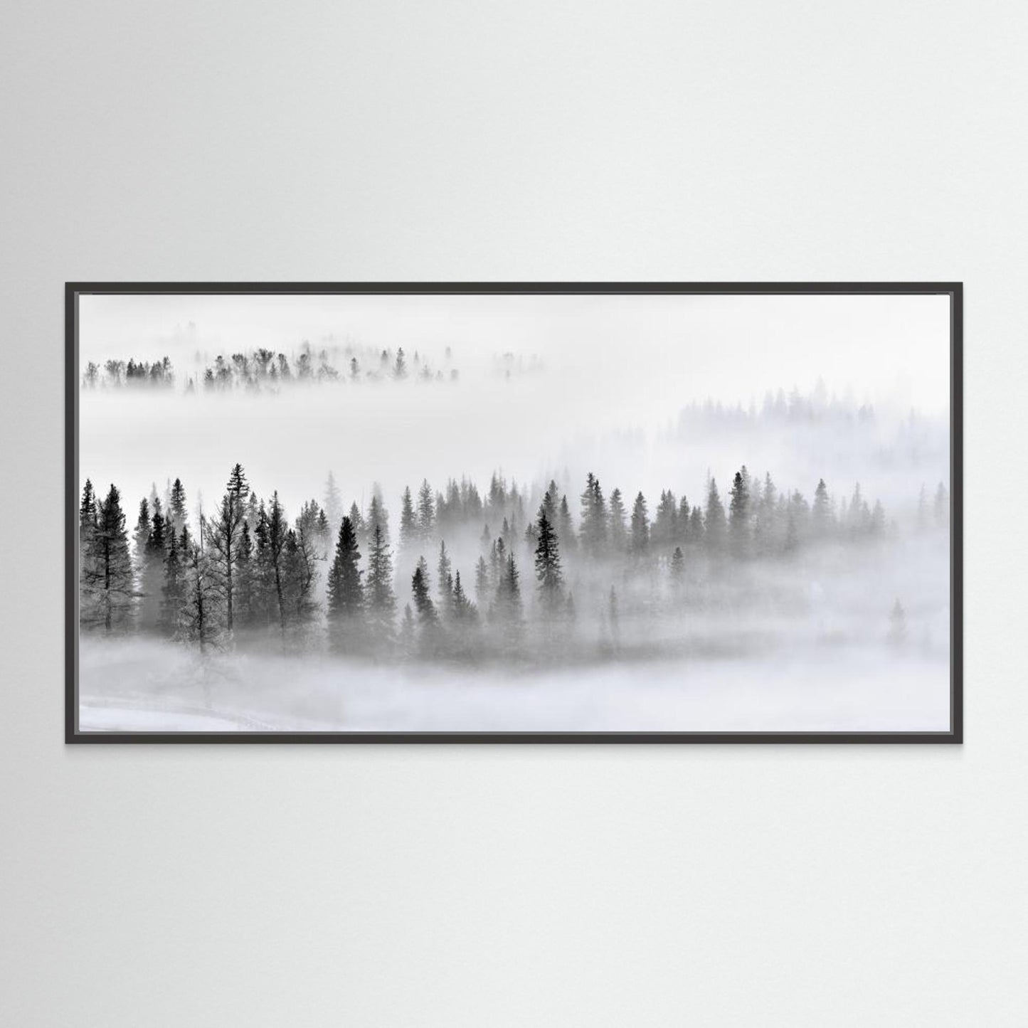 Foggy Forest by Mei Xu