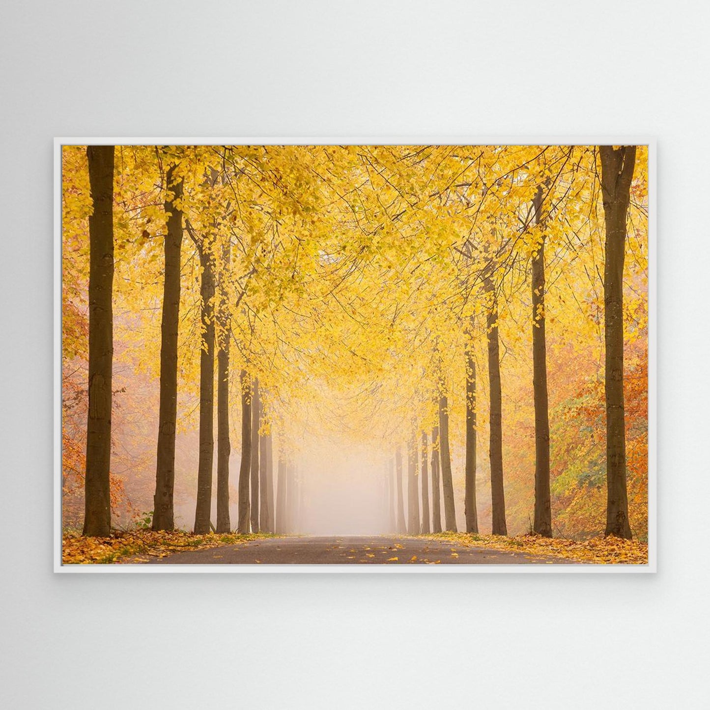 Autumn road by Keller