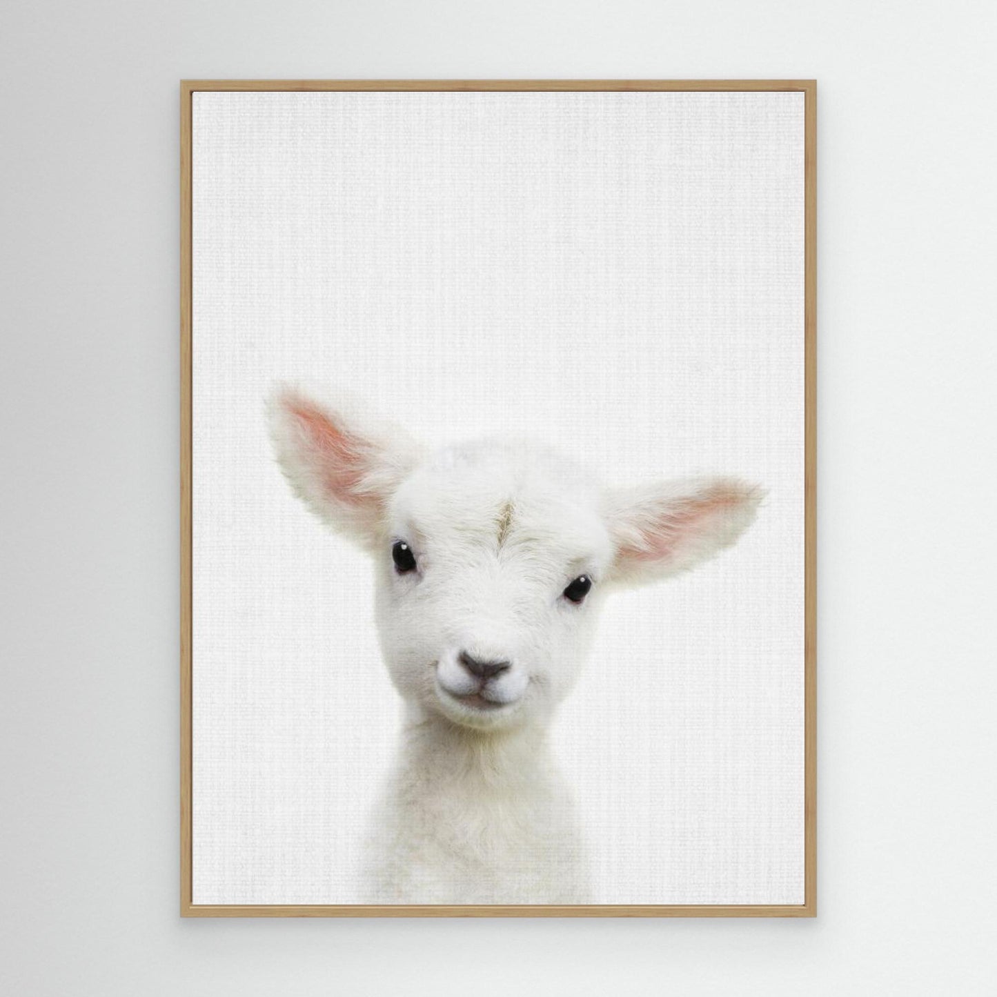 Peekaboo Baby Sheep by Lola Peacock