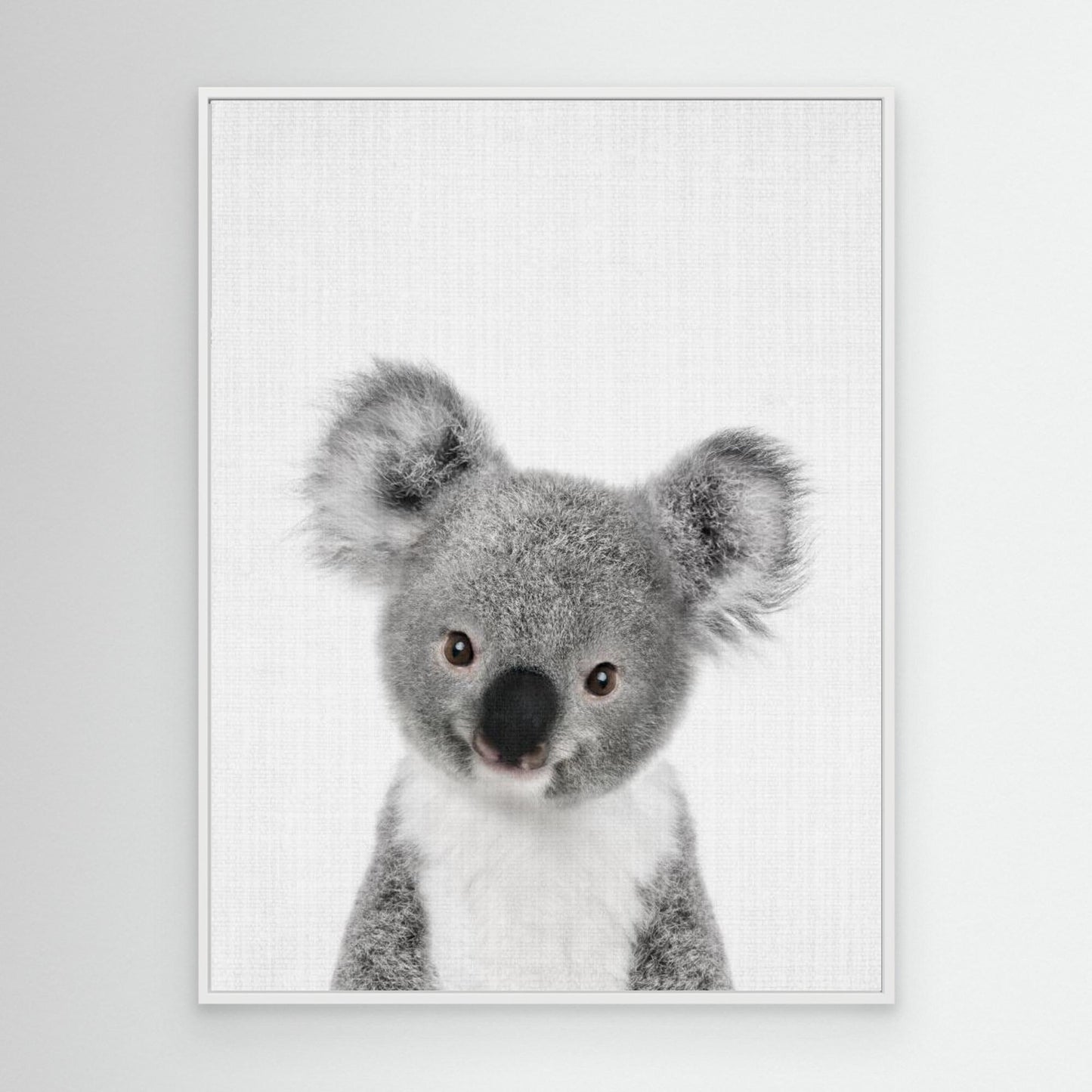 Peekaboo Baby Koala by Lola Peacock