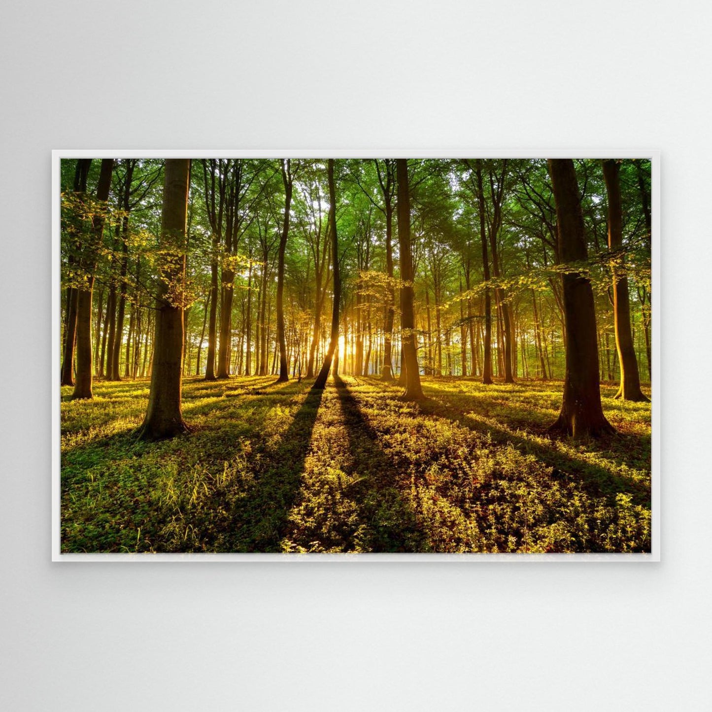 Forrest light by Keller