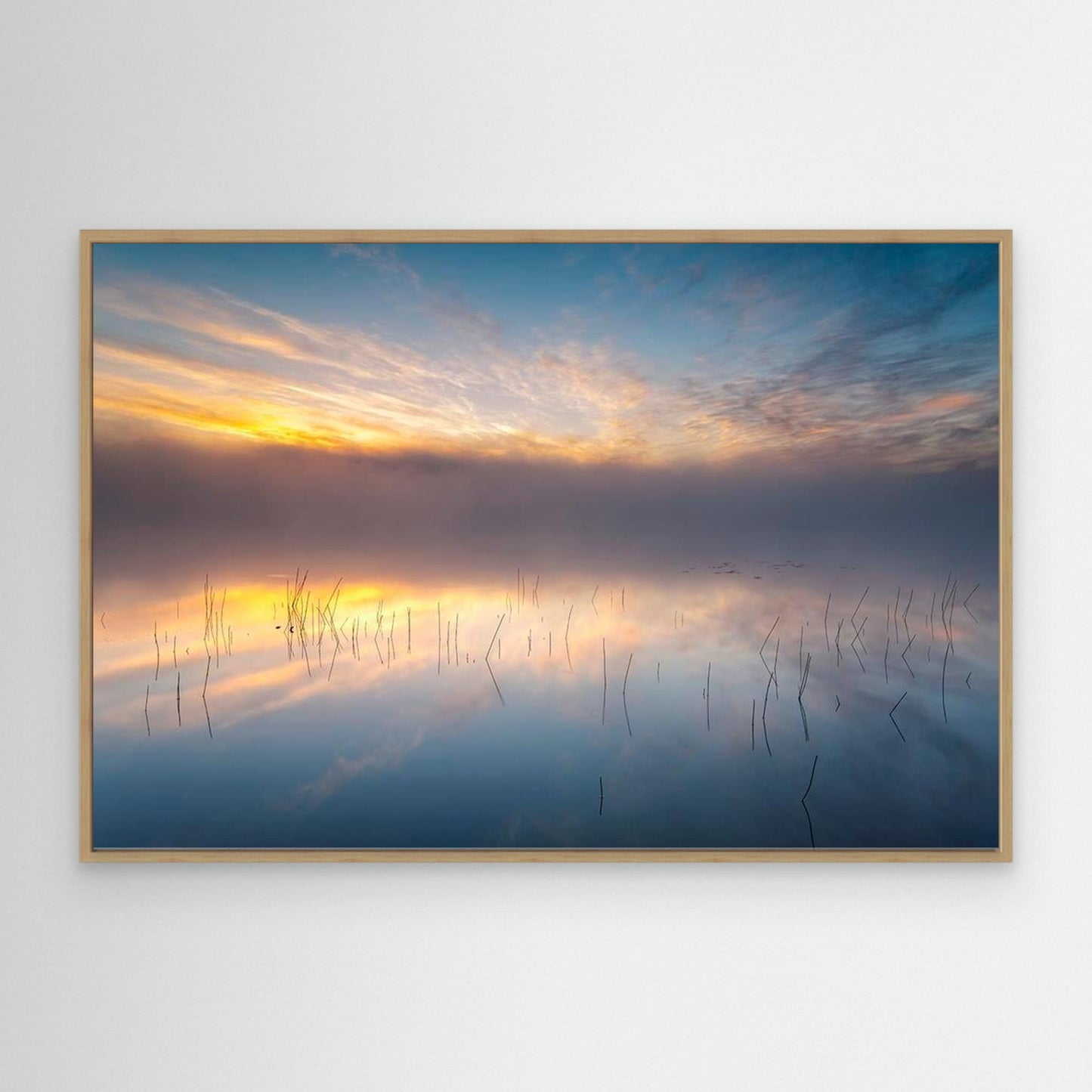Reeds by Keller