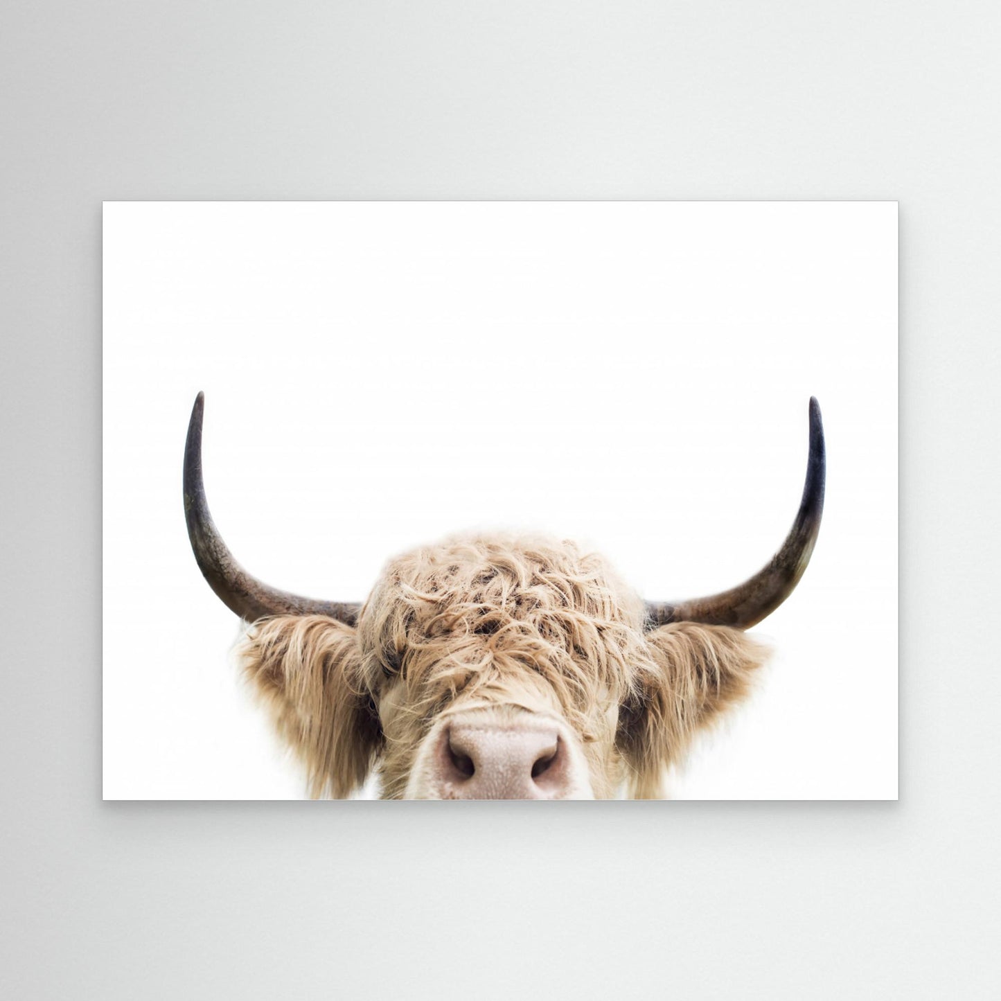 Peeking Cow by Kathrin Pienaar