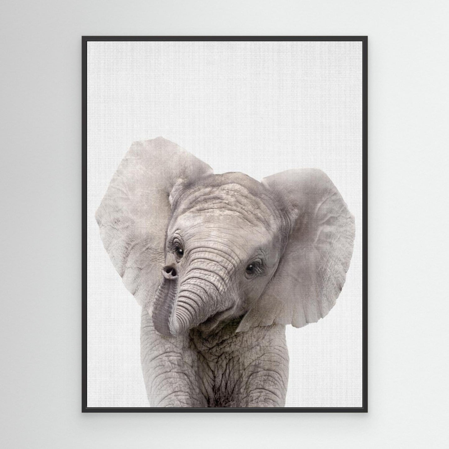 Peekaboo Baby Elephant by Lola Peacock