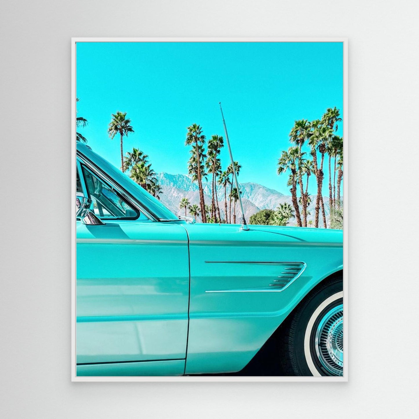 Teal Thunderbird in Palm Springs by Tom Windeknecht