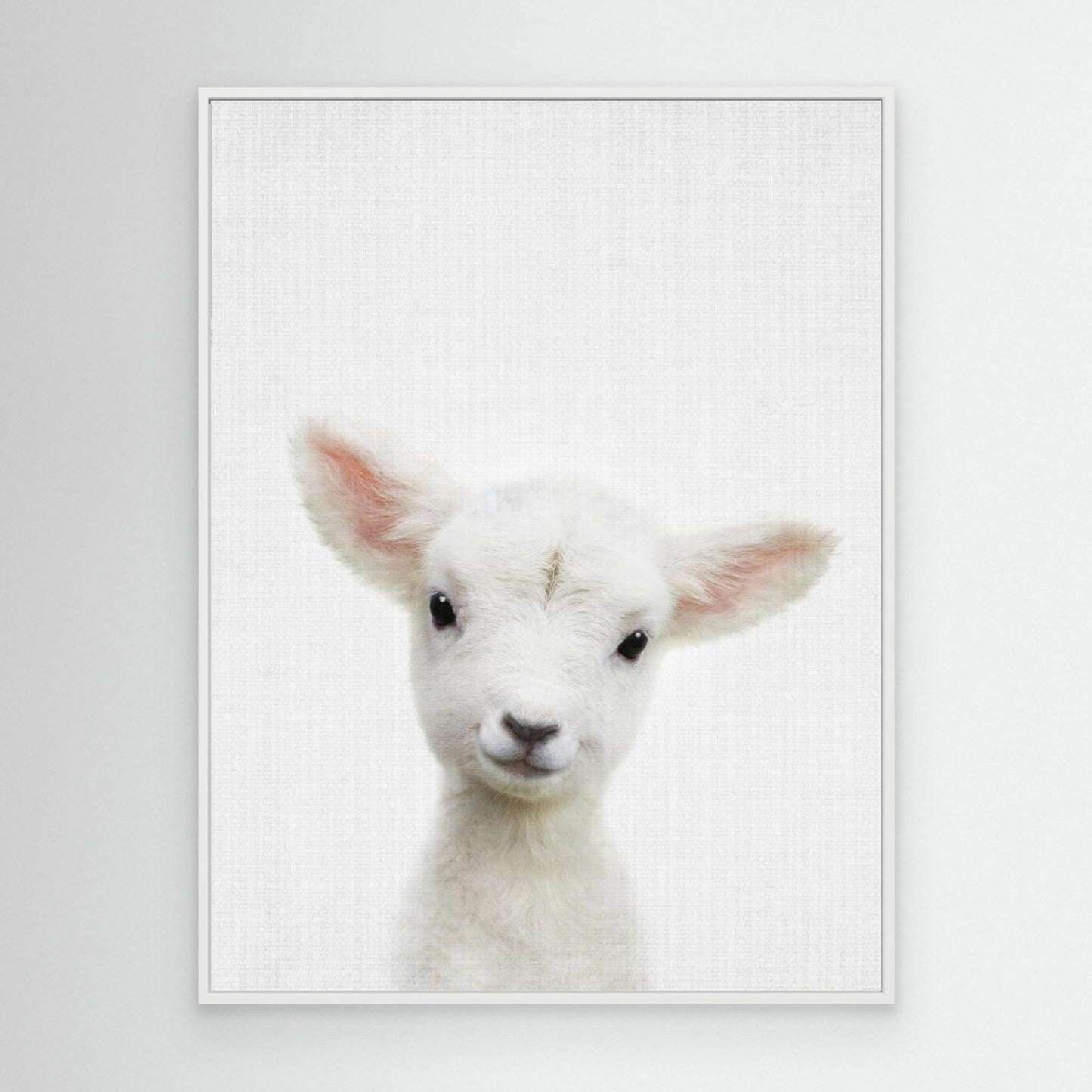 Peekaboo Baby Sheep by Lola Peacock