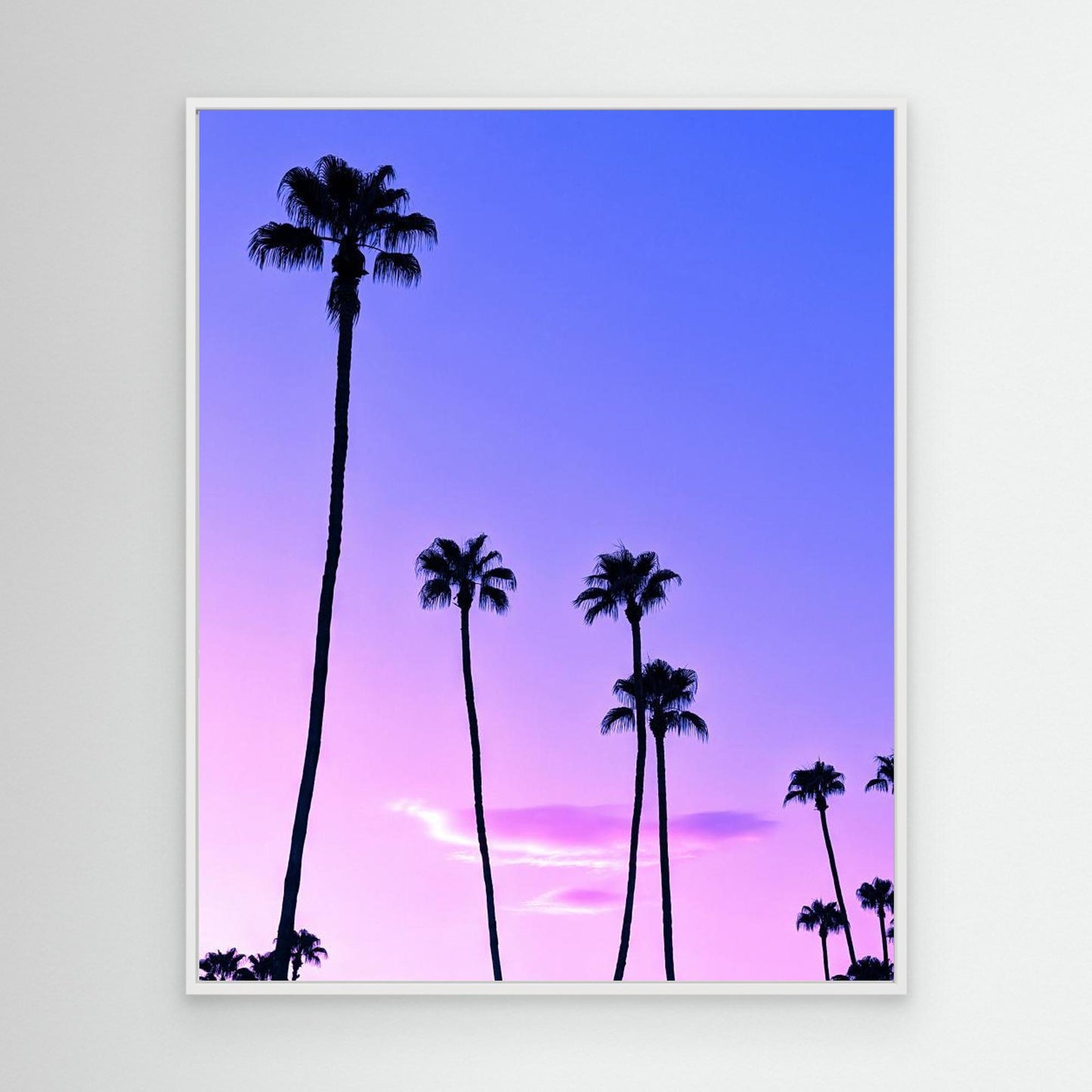Palm Tree Sunset by Tom Windeknecht