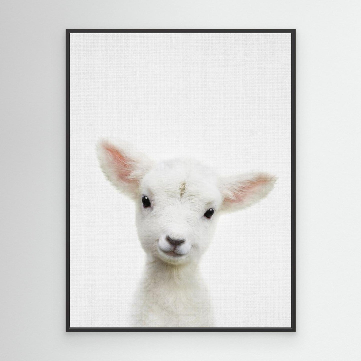 Peekaboo Baby Sheep by Lola Peacock