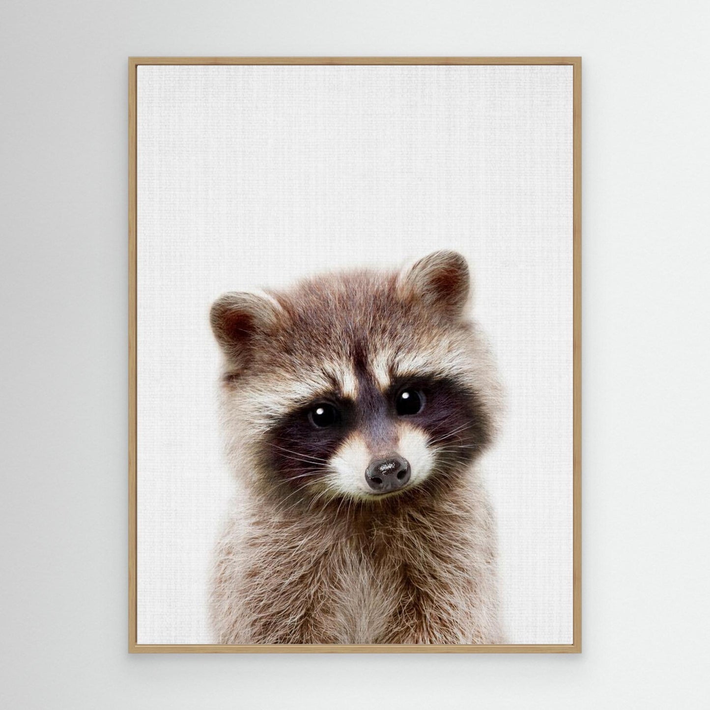 Peekaboo Raccoon by Lola Peacock