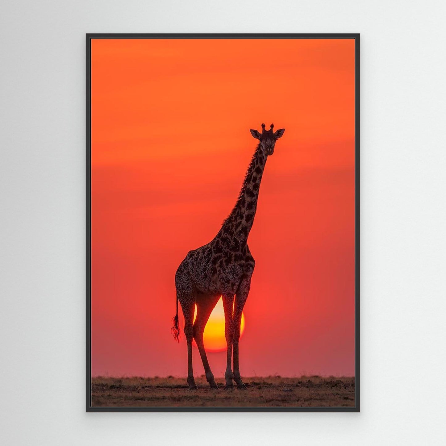 Sunset Giraffe by Henry Zhao