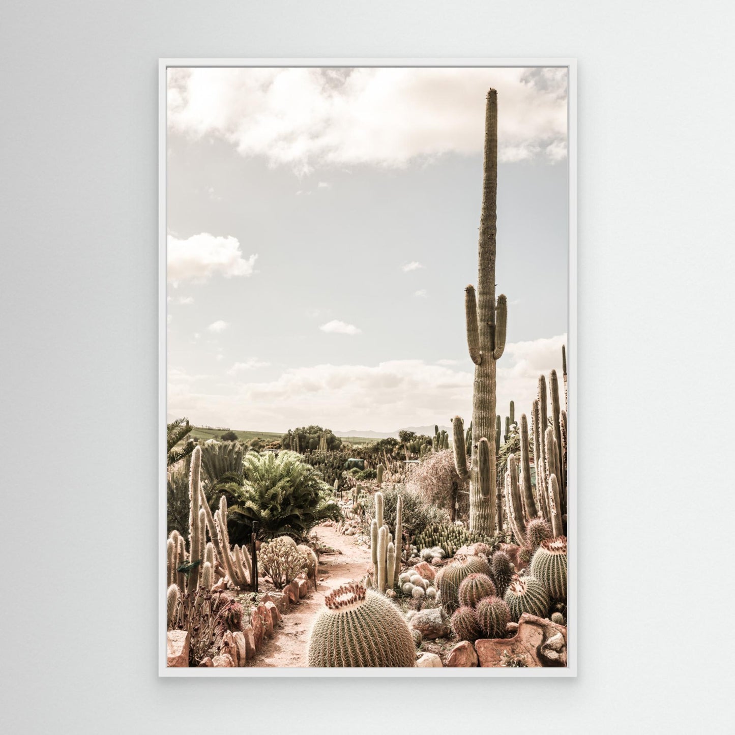Cactus Farm by Shot By Clint