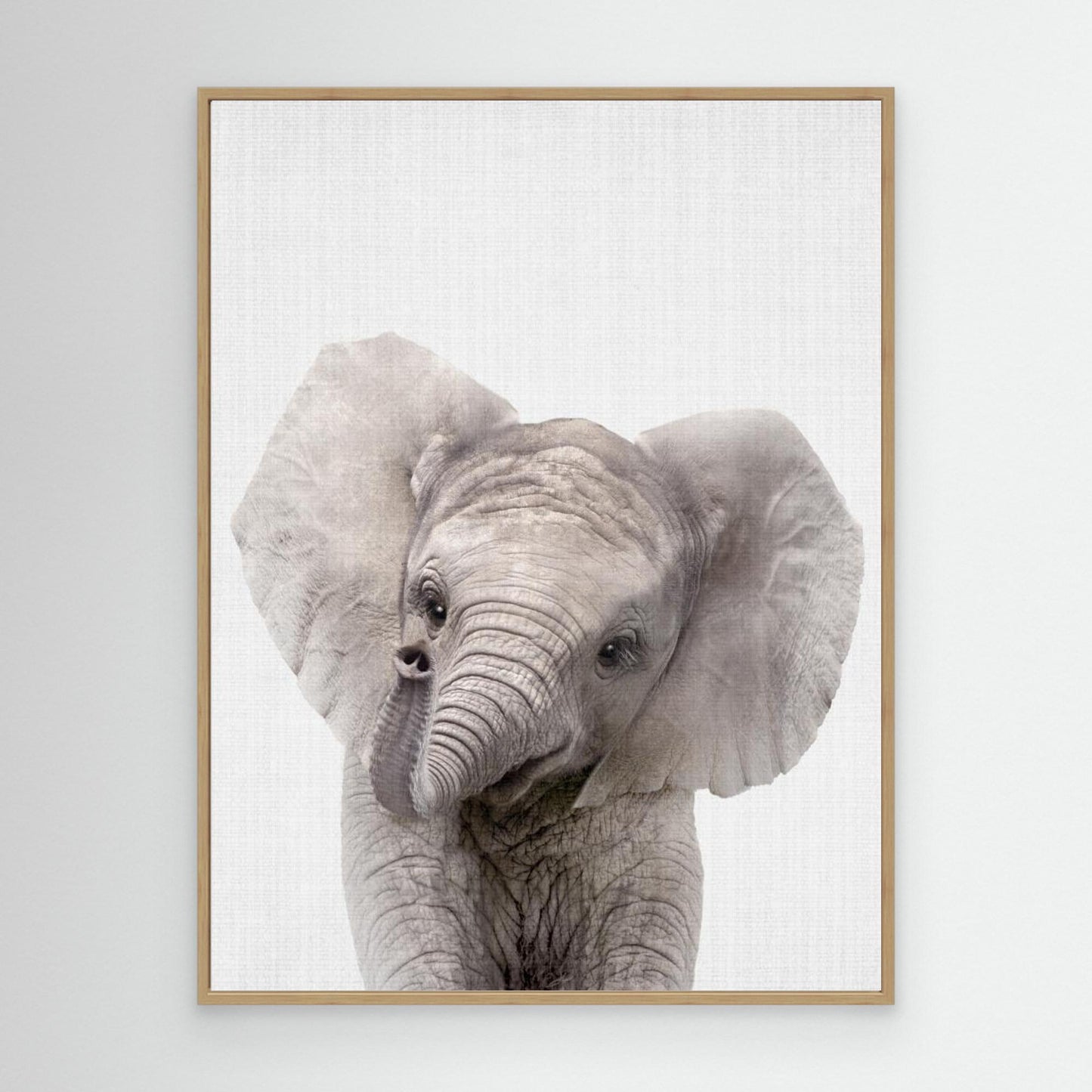 Peekaboo Baby Elephant by Lola Peacock