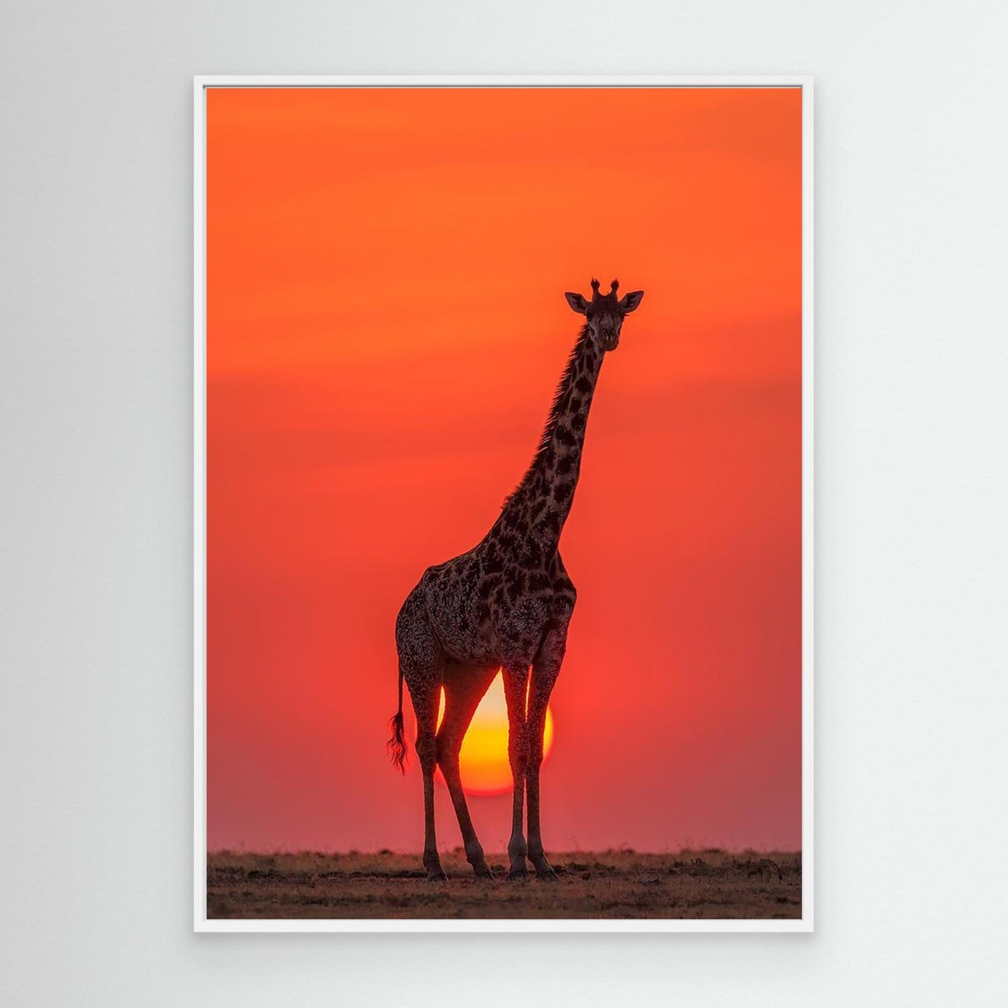 Sunset Giraffe by Henry Zhao