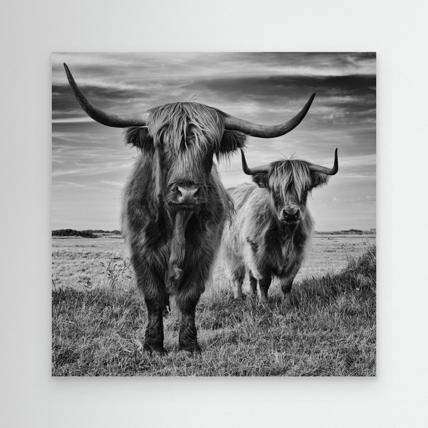 BigFatCanvas with Animals
