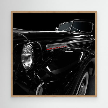 The Admiral by Roland Weber