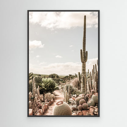 Cactus Farm by Shot By Clint