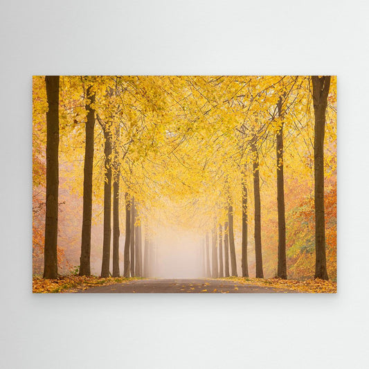 Autumn road by Keller