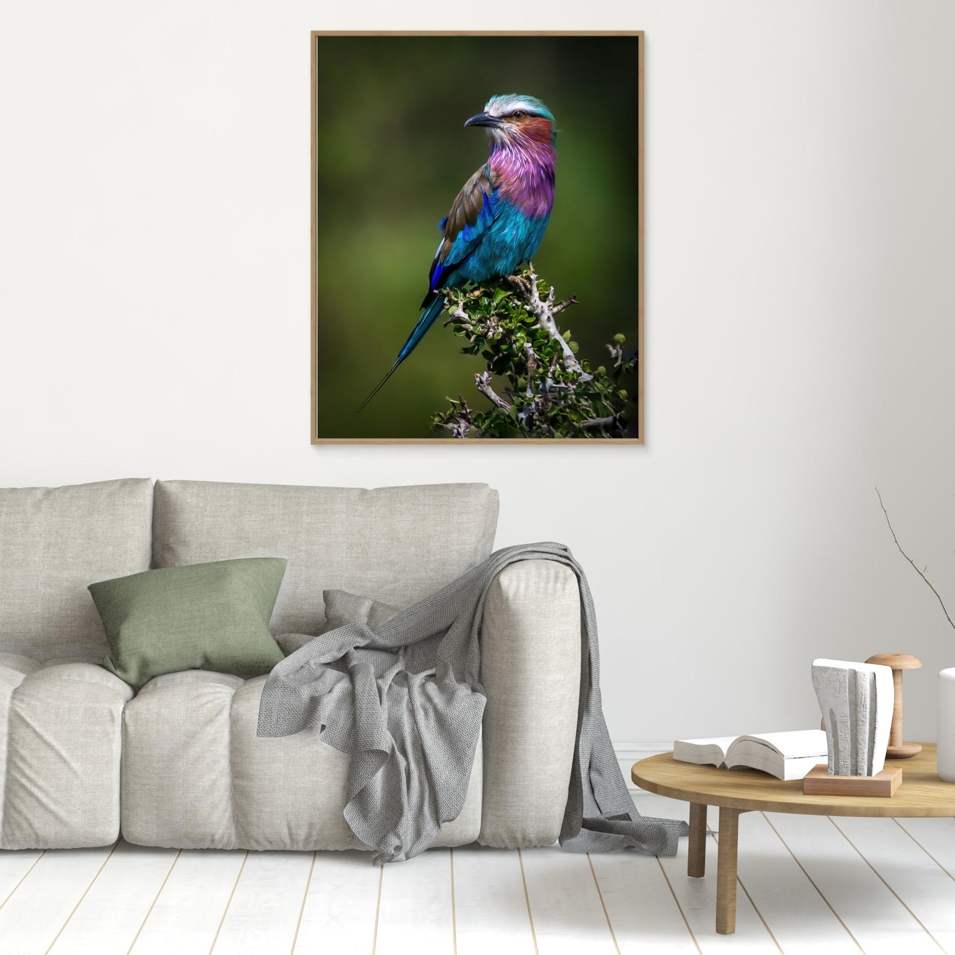 Colorful Rollin' by Amro