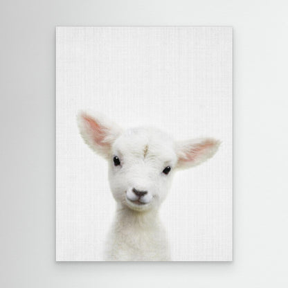 Peekaboo Baby Sheep by Lola Peacock