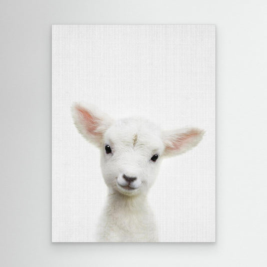 Peekaboo Baby Sheep by Lola Peacock