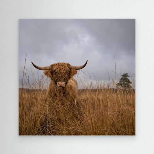 It wasn't me by Gert Van Den Bosch