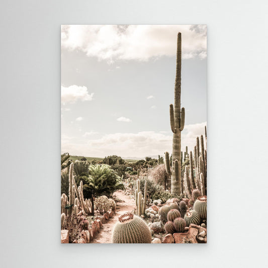 Cactus Farm by Shot By Clint