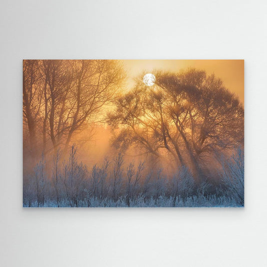warm and cold by Keller